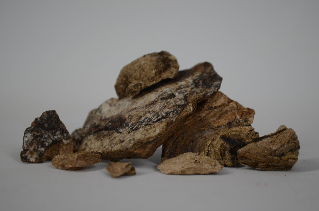 Grey Ambergris Tincture