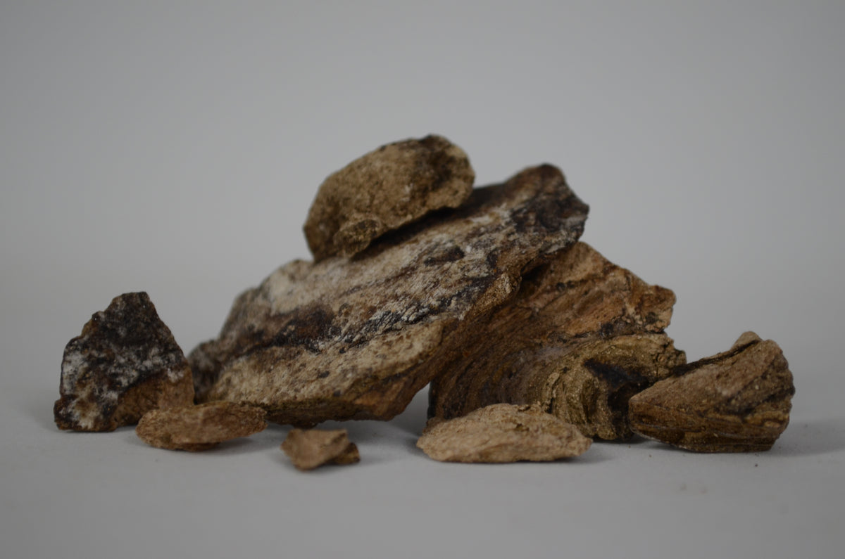 Grey Ambergris Tincture