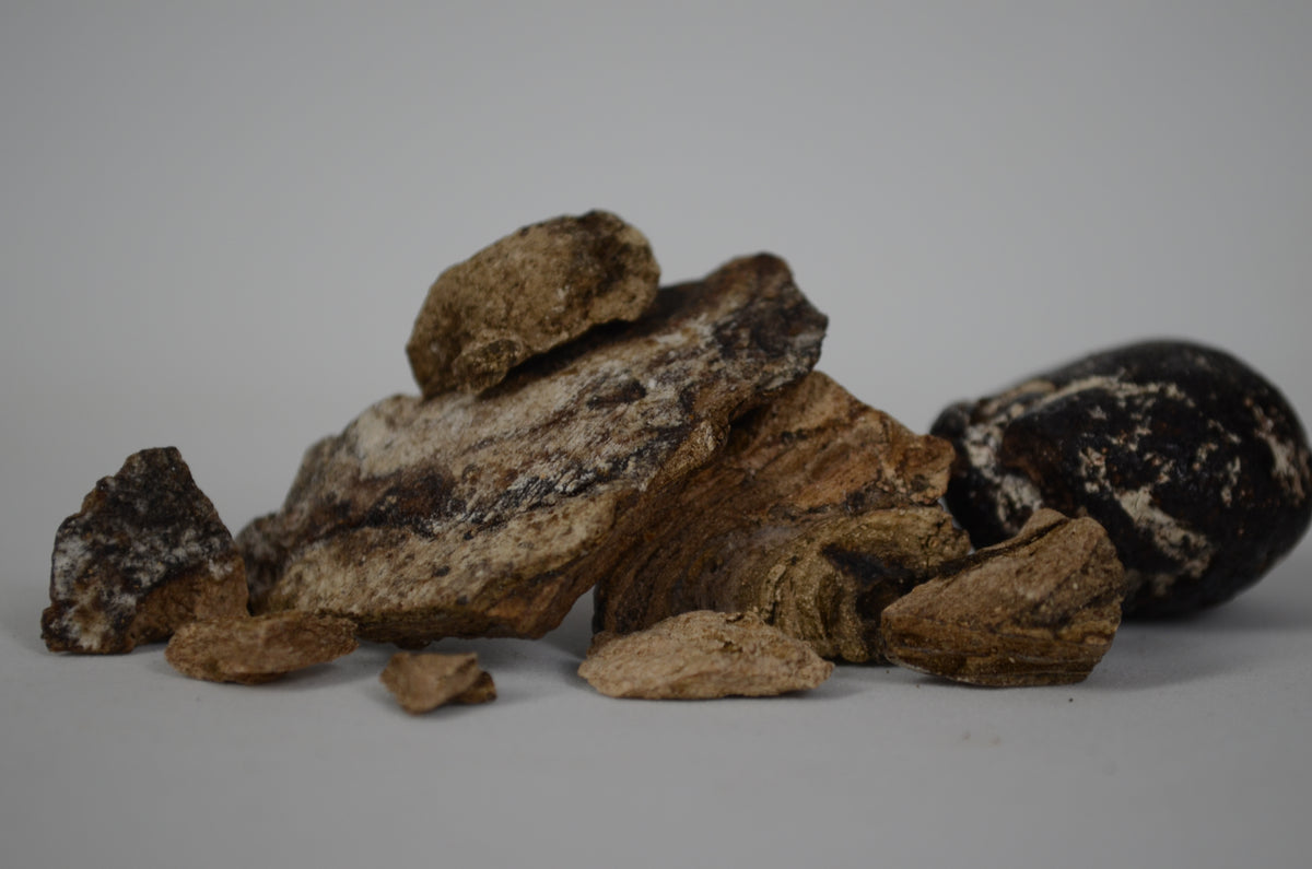 Grey Ambergris Tincture