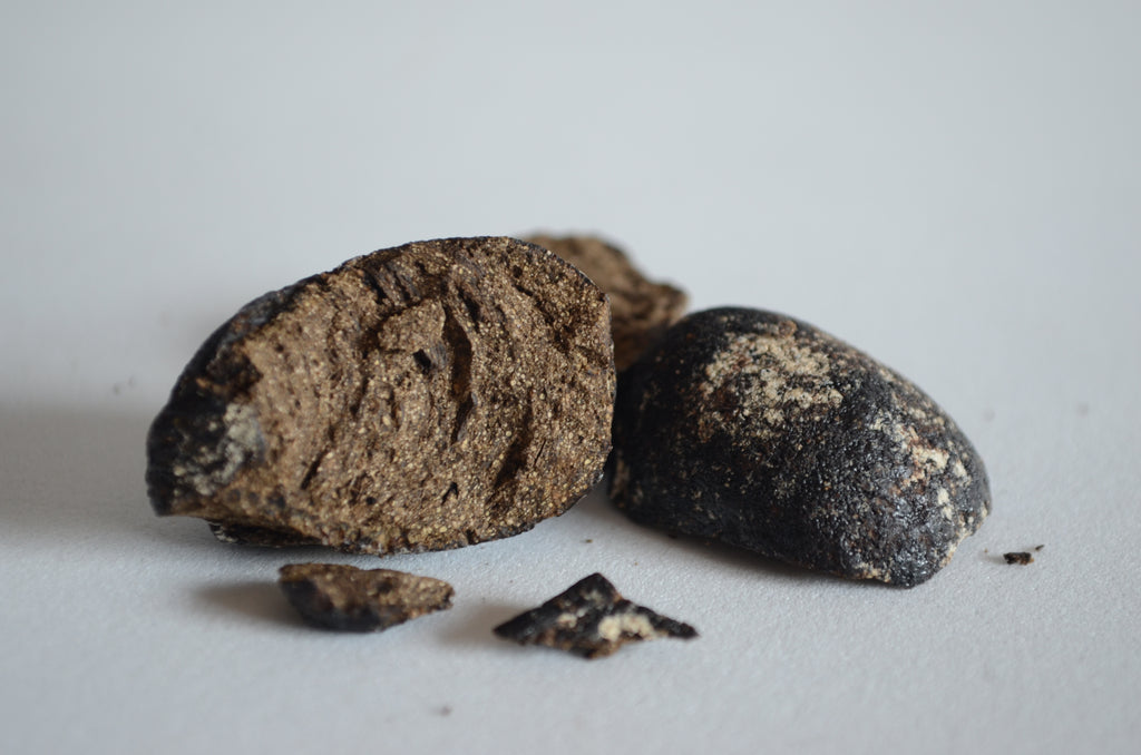 Brown Ambergris Tincture