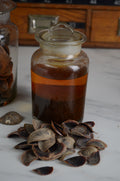 Tintura de onycha del Mar Rojo al 30 % — The Glass Atelier