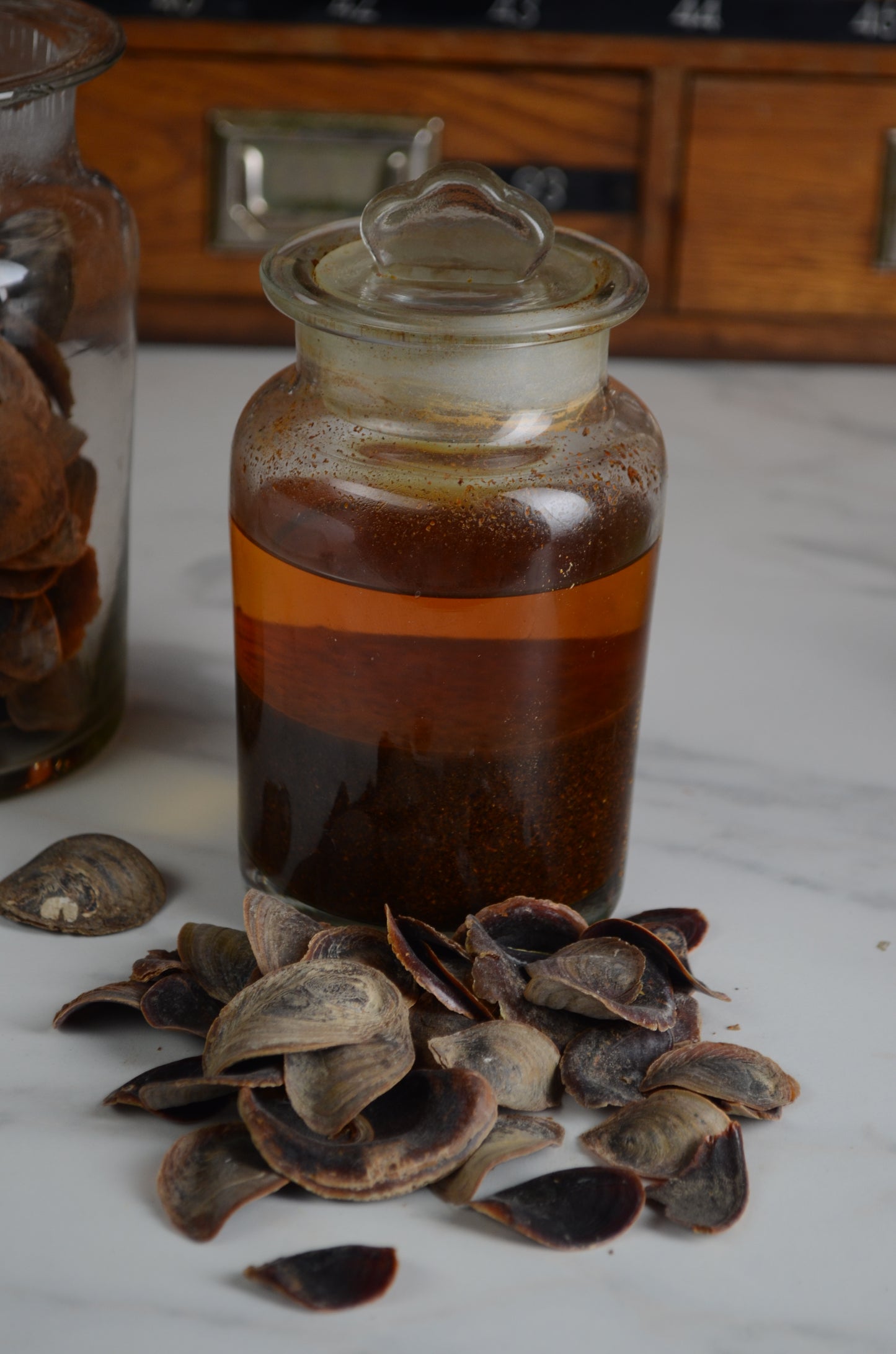 Operculum Onchya Tincture 30%