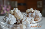 Boswellia Sacra Omán - Shaabi