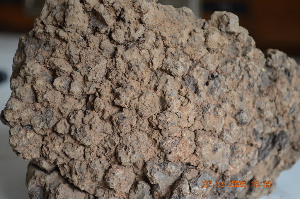 Hyraceum Piedra de África