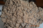 Hyraceum Piedra de África
