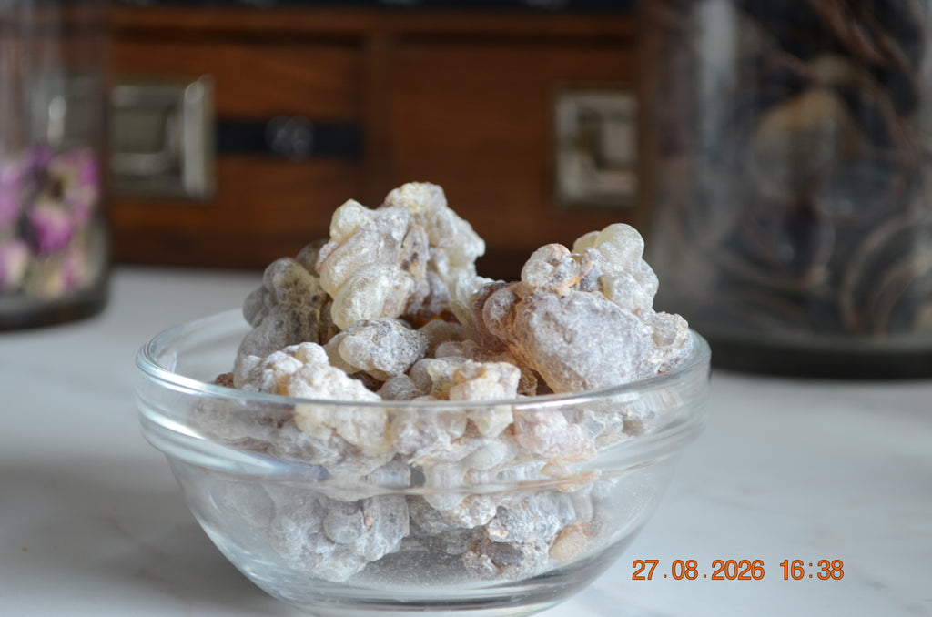 Boswellia Sacra Omán - Shaabi