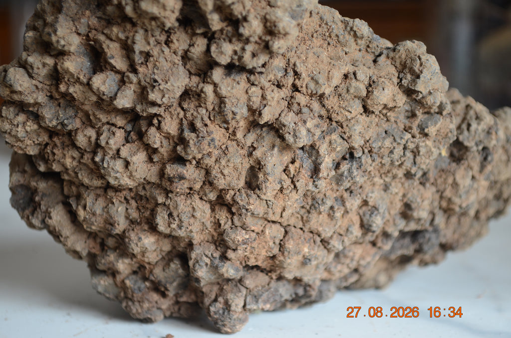 Hyraceum Piedra de África