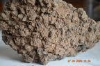 Hyraceum Piedra de África