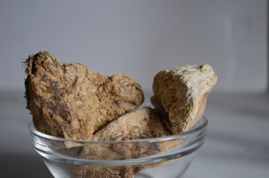 Férula Sumbul - Musk Root