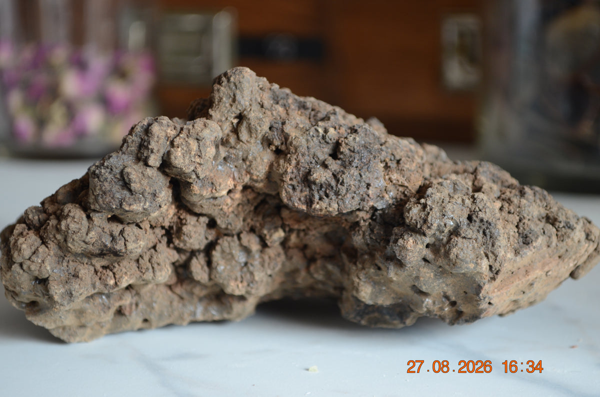 Hyraceum Piedra de África