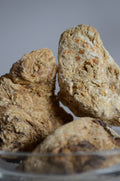 Férula Sumbul - Musk Root