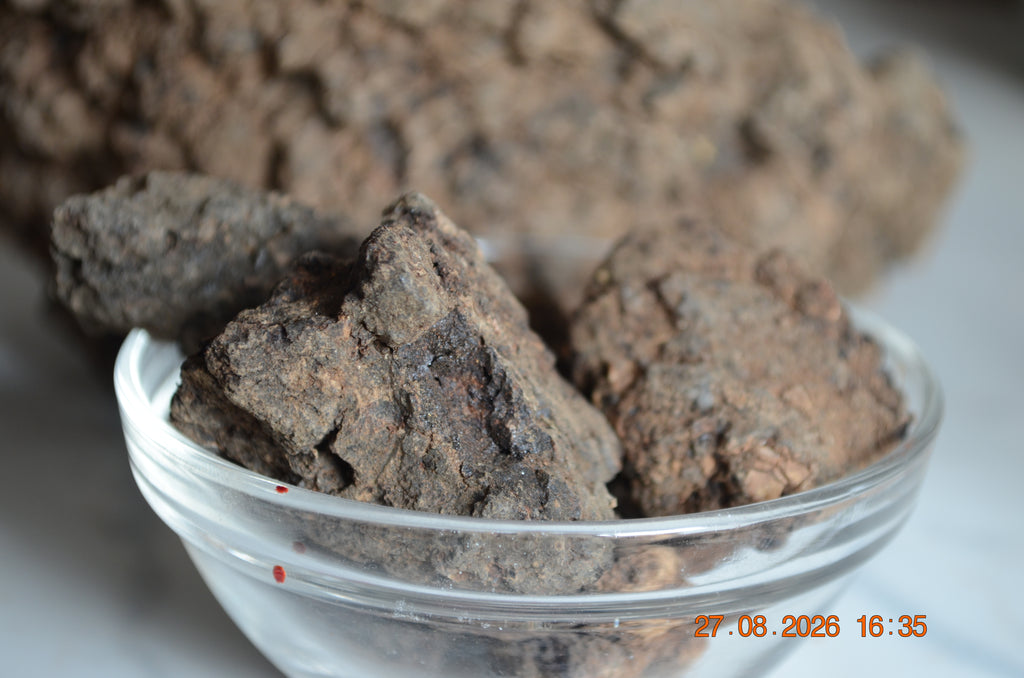 Hyraceum Piedra de África