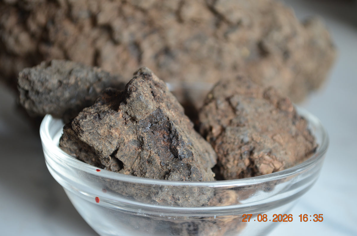 Hyraceum Piedra de África
