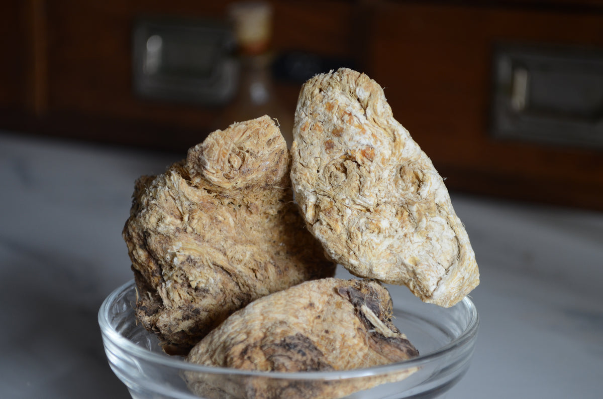 Férula Sumbul - Musk Root
