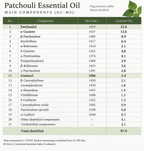 Patchouly Nepal 2025