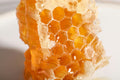 Absoluto de Cera de Abeja — Apis mellifera