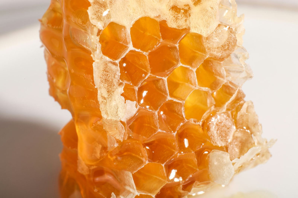 Absoluto de Cera de Abeja — Apis mellifera