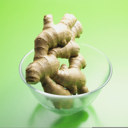 Ätherisches Öl vom frischen Madagaskar-Ingwer (Zingiber officinale)