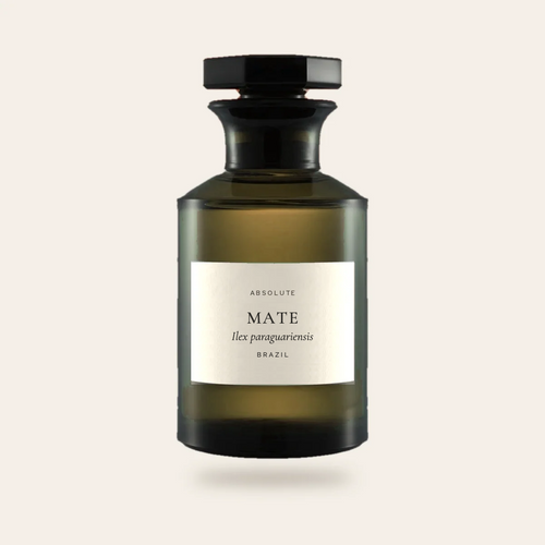 Mate Absolute – Ilex paraguariensis – Brazil