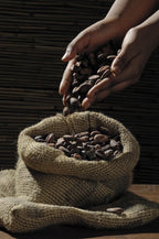 Absoluto de Cacao 30%- Ghana