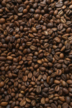 Café arábica (Coffea arabica), la materia prima del absoluto