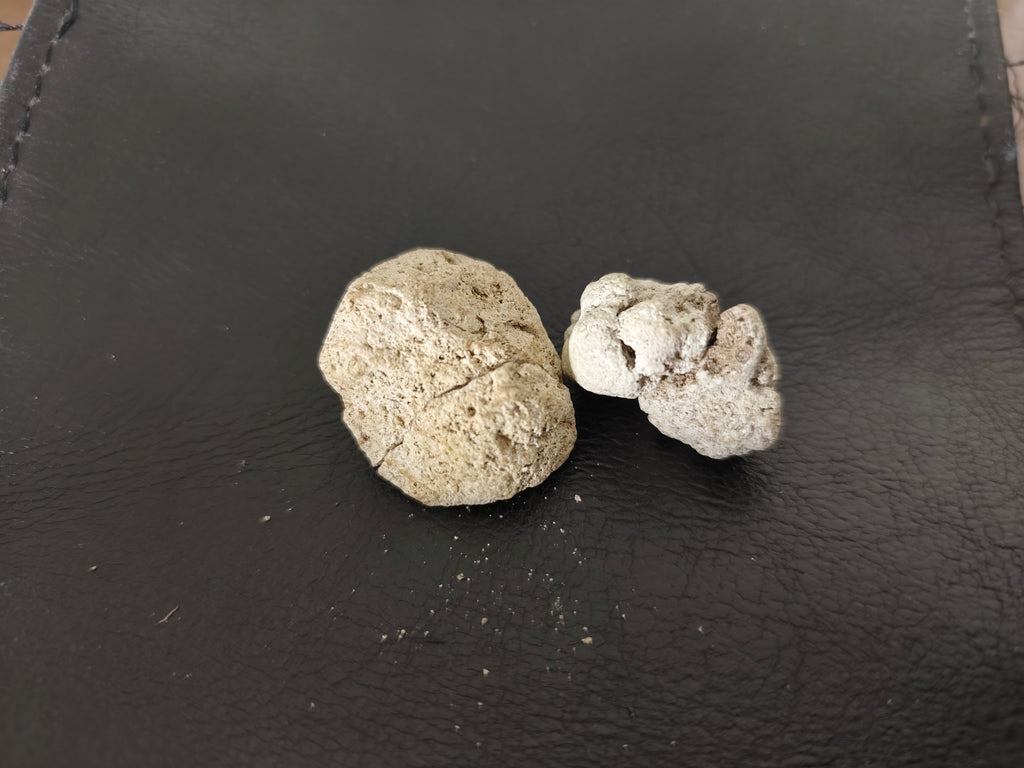 Natural Ambergris — White Quality — 1 gram