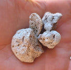 Natural Ambergris — White Quality — 1 gram