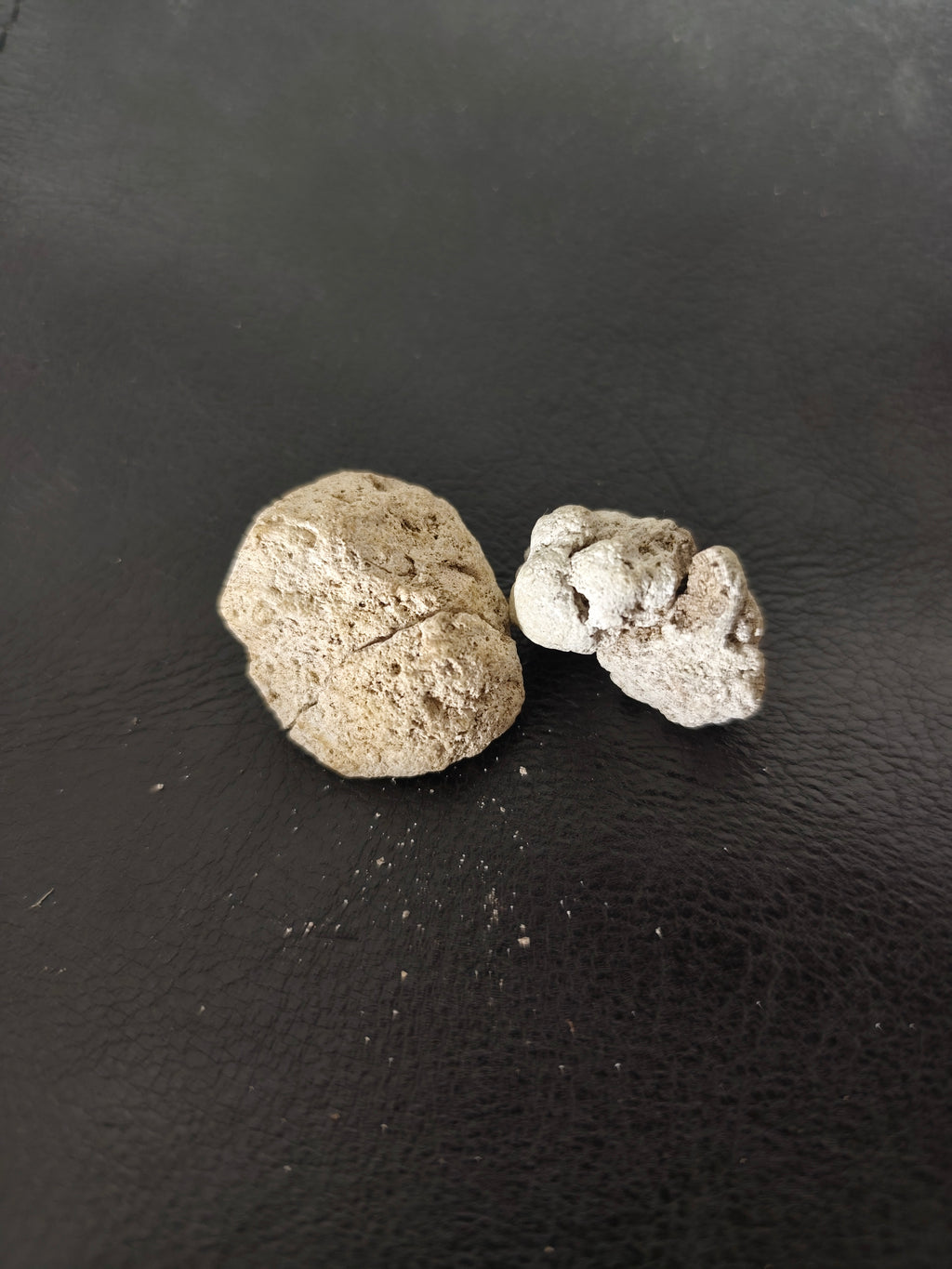 Natural Ambergris — White Quality — 1 gram