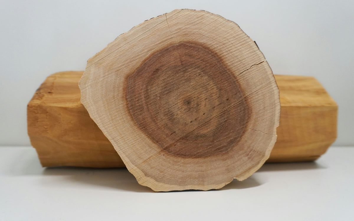 Sándalo australiano (Santalum spicatum), la madera de origen del aceite