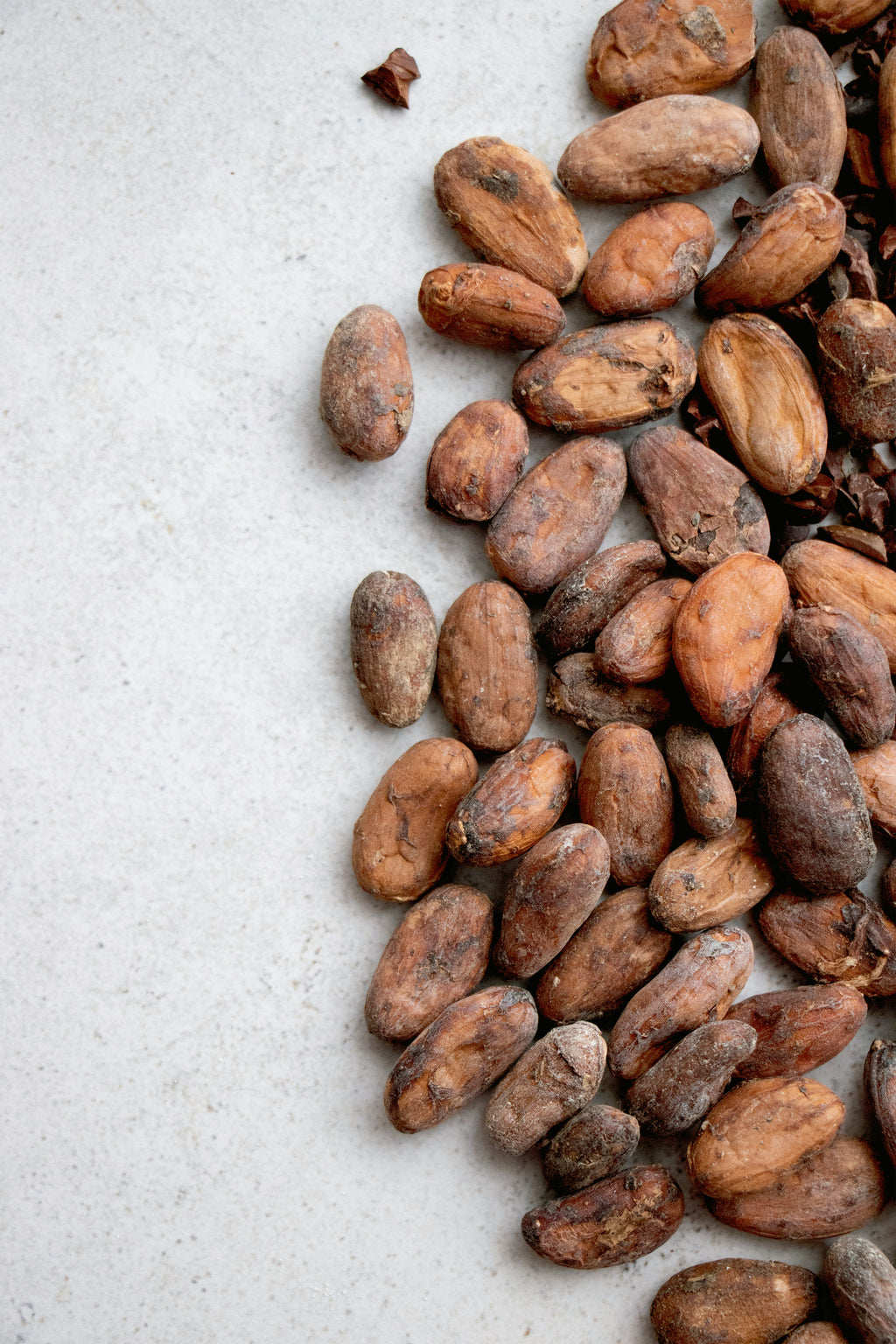 Absoluto de Cacao 30 % — Theobroma cacao — Ghana